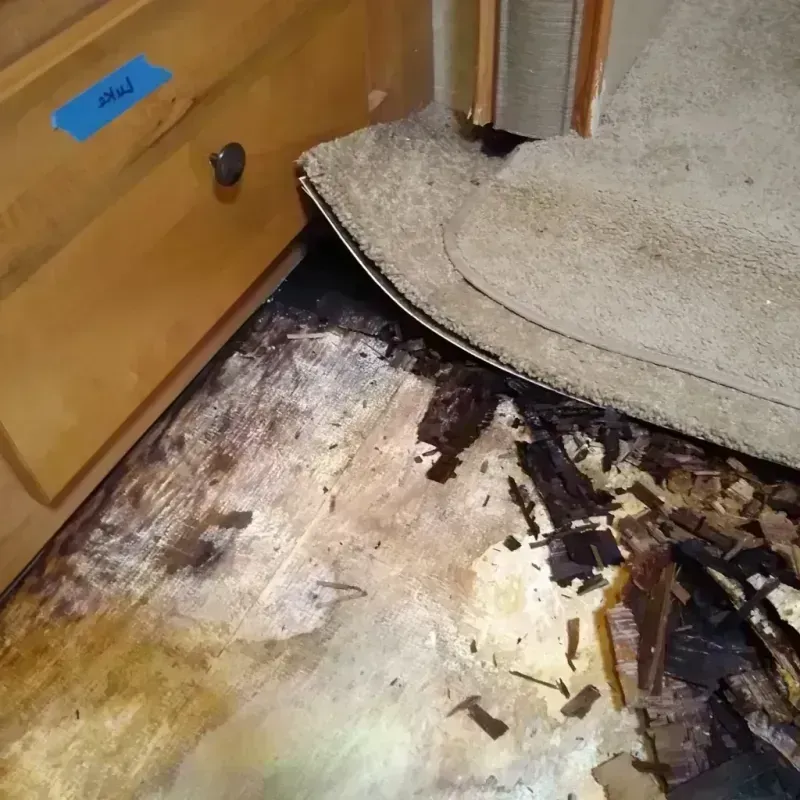 Wood Floor Water Damage in Hastings, NE